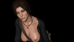 lara croft from tomb raider by jjjjd