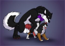 2boys all_fours anal anal_sex animal_genitalia animal_penis bernese_mountain_dog black_and_white_fur bodily_fluids bow breath canine canine_penis claws curled_tail digital_media_(artwork) doggy_style dripping duo erection feet feral feral_on_feral feral_penetrating from_behind_position fur gay half-closed_eyes husky knot larger_male licking male male_only male_penetrated male_penetrating mammal molosser mountain_dog necktie nordic_sled_dog open_mouth orgasm original_character panting paws penetration penis quadruped ruska sex shadow_the_husky siberian_husky simple_background size_difference smaller_male smile spitz swiss_mountain_dog thick_thighs tongue tongue_out white_fur yaoi zetsin