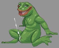 absurd_res amphibian anatomically_correct anatomically_correct_genitalia animal_genitalia bodily_fluids cloaca cum dahurgthedragon drooling ejaculation feral frog genital_fluids genitals hi_res looking_pleasured male male_only meme pepe_the_frog saliva simple_background solo