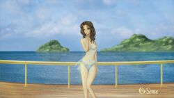 breasts brown_eyes brown_hair clouds landscape nipples panties scenic sky underwear water wet