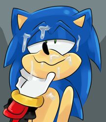 2boys blue_fur cum cum_on_face facial gay hedgehog holding_head ican-t-get-no-satisfaction looking_pleasured male male/male male_only shadow_the_hedgehog sonic_(series) sonic_the_hedgehog yaoi