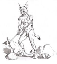 0laffson 4_toes 5_fingers anthro balls caracal caracal_(genus) digitigrade ear_piercing ear_ring felid feline fingers hi_res holding_object hybrid lynx male male_only mammal nude penis piercing sketch solo standing teeth toes traditional_media_(artwork)