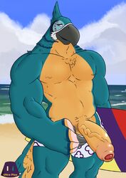 absurd_res anthro avian balls bara big_balls big_penis bird breath_of_the_wild genitals hi_res kass_(zelda) male male_only mr_ultra muscular muscular_anthro muscular_male nintendo penis rito solo the_legend_of_zelda video_games