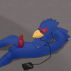 1:1 1boy 2019 anthro argon_vile avian beak bird blue_feathers closed_eyes earbuds erection falco_lombardi feathers grey_background hands_behind_head hi_res lying male male_only nintendo nipples nude on_back penis portable_music_player side_view signature simple_background solo star_fox video_games