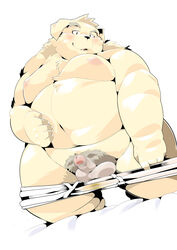 2020 absurd_res anthro balls belly blush canid canine canis clothing domestic_dog genitals hi_res humanoid_genitalia humanoid_hands humanoid_penis kemono male male_only mammal moobs namihira_kousuke nipples overweight overweight_anthro overweight_male penis pubes sigenoya simple_background solo takotyutyu trouble_(series) underwear white_background