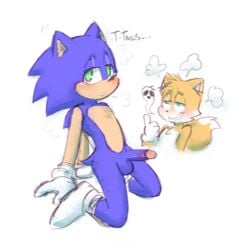 anthro appl balls blue_eyes blush canid canine clothing erection eulipotyphlan footwear fox fur genitals gesture ghost gloves green_eyes grin half-closed_eyes handwear hedgehog hi_res kneeling male male/male mammal mostly_nude narrowed_eyes penis smile socks solo_focus sonic_(series) sonic_the_hedgehog sonic_the_hedgehog_(series) spirit steam tails thumbs_up