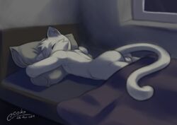 2019 absurd_res anthro ass balls bed bedroom digital_media_(artwork) domestic_cat eoks felid feline felis fur hair heart hi_res lying male male_only mammal nude on_bed sleeping solo solo_male