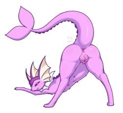 pokemon (species) from pokemon
