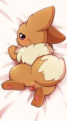 1boy 2019 3_toes absurd_res animal_genitalia anus ass bed blush brown_fur canine chibi dakimakura edit eevee eye_contact feet feral fur furry half-closed_eyes hi_res looking_at_viewer looking_back lying male male_only minhpupu nintendo nude paws penis pokémon_(species) pokemon pokemon_(species) pokemon_rgby presenting presenting_hindquarters purple_eyes small_penis source_request tail video_games