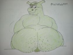 Shrek (Series) Rule 34 Image