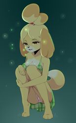 2019 animal_crossing anthro blonde_hair bottomless breasts canid canine canis cleavage coffeechicken dipstick_tail domestic_dog female female_focus fur furry furry_only highres isabelle_(animal_crossing) mammal multicolored_tail nintendo no_panties open_mouth partially_nude pussy shih_tzu solo solo_female tail topwear toy_dog yellow_body