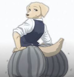 jack (beastars) from beastars