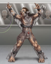 5_fingers anthro balls blue_eyes bound canid canine digital_media_(artwork) eyewear fingers glasses group human humanoid lab_(disambiguation) male male_only mammal nude open_mouth penis sabretoothed_ermine saint_andrew's_cross scar solo_focus teeth tongue transformation were werecanid werecanine werewolf