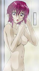 breasts embarrassed gundam gundam_seed gundam_seed_destiny hanzou lunamaria_hawke nipples nude shower