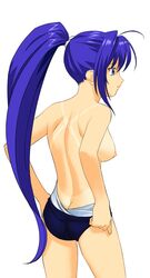 blue_hair kimi_ga_nozomu_eien mitsuki_hayase tagme