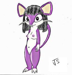 anthro breasts color female female_only front_view fur furry jigsaw_(artist) nintendo nipples nude pokemon purple_fur rattata solo tagme vulva white_fur