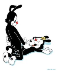 animaniacs anthro dot_warner flower happy happy_sex incest male/female missionary_position sex stefanescu straight watermark white_background yakko_warner