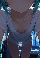 hatsune miku from vocaloid