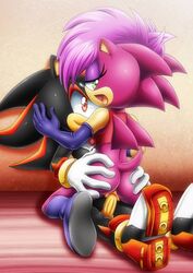 anthro bbmbbf black_and_pink hedgehog mobius_unleashed palcomix sega shadonia shadow_the_hedgehog sonia_the_hedgehog sonic_(series) underground