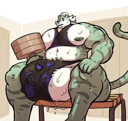 absurd_res anthro armpit_hair balls belly bench big_balls big_bulge big_muscles big_nipples big_pecs big_penis bodily_fluids body_hair bulge clothing clothing_transformation confusion duo exercise felid genitals hair hair_bun hi_res huge_balls huge_bulge huge_pecs huge_penis ineffective_clothing joe_(joebluefox) joebluefox living_underwear locker_room male mammal musclegut muscular muscular_arms muscular_legs muscular_male navel nipples pantherine pecs penis sitting smile stripes sweat sweaty_balls sweaty_genitalia tail tiger tongue tongue_out transformation underwear_transformation weightlifting weights wide_hips workout