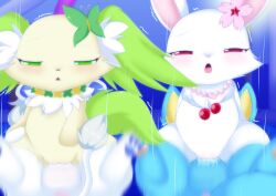 absurd_res anthro anus aussie_(aussieafterdark) balls big_tail blue_body blue_fur bodily_fluids brown_nose butterfly_(accessory) canid canine canis cherry_blossom cherry_charm cowgirl_position dim_lighting domestic_dog dwarfism ear_tuft felid female female_on_top flower fox from_front_position fur genital_fluids genitals granite_(jewelpet) green_body green_ears green_eyes green_fur green_tail grey_mane group hand_on_leg happy hare hi_res humanoid_genitalia humanoid_penis japanese_hare jewelpet jewelry lagomorph leporid lion male male/female male_on_bottom mammal mane moan motion_blur motion_lines multicolored_body multicolored_fur narrowed_eyes neck_tuft necklace on_bottom on_top pantherine papillon parallel_sex partner_swap pawpads penis peridot_(jewelpet) pink_jewelry pink_necklace pink_nose plant plushcrochet prunus_(flower) red_eyes ruby_(jewelpet) sanrio sega_fave semi-anthro sex shaking shortstack smile tail thrusting toy_dog tuft two_tone_body two_tone_fur vaginal_fluids vulva white_body white_fur yellow_body yellow_fur