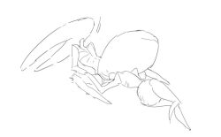 2girls bug bug_girl cunnilingus hollow_knight hollow_knight:_silksong hollow_knight_(franchise) hornet_(hollow_knight) lace_(hollow_knight) lace_(hollow_knight:_silksong) lesbian_sex team_cherry yuri