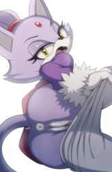 blaze the cat from sonic (series) by wildblur