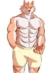 abs anthro biped bottomwear bulge canid canine canis claws clothed clothing digital_media_(artwork) domestic_dog fur hi_res male male_only mammal multicolored_fur muscular muscular_male navel nipples orange_fur orange_pawpads pawpads paws pecs penis_outline pink_pawpads portrait radcanine rai_(radcanine) shorts simple_background solo tan_fur three-quarter_portrait topless two_tone_fur white_background