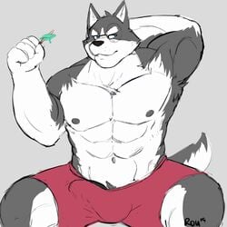 1:1 abs absurd_res anthro armpit_hair biped bulge canid canine canis clothing dessert digital_media_(artwork) domestic_dog eyewear food fur glasses hi_res ice_cream male male_only mammal muscular muscular_male navel nipples penis penis_outline popsicle radcanine solo underwear