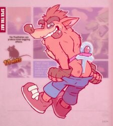 1boy 2020s 2023 blue_shorts blurry_background clenched_teeth crash_(series) crash_bandicoot fingerless_gloves footwear furry furry_male furry_only green_eyes hi_res jockstrap male male_only mooning non-human non-human_only object_between_ass orange_fur pink_jockstrap playstation relic shorts shorts_pull solo spectral-bat time_relic tongue tongue_out video_games