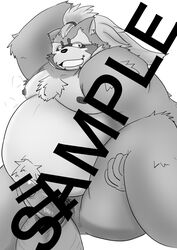 2019 absurd_res anthro balls belly big_balls blush canid canine goemon_(tokyo_afterschool_summoners) hi_res humanoid_hands humanoid_penis male male_only mametanu_tanuki mammal moobs nipples overweight overweight_male penis raccoon_dog simple_background solo tanuki text tokyo_afterschool_summoners video_games