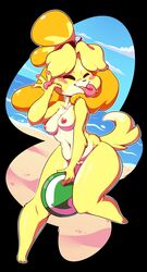 1girls animal_crossing beach blush breasts canid canine canis closed_eyes female female_only frisbee fur furry furry_only hi_res isabelle_(animal_crossing) naked nintendo nude pawpads pussy slurpiedoo tail thick_thighs tongue tongue_out wide_hips