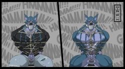 2020 angry anthro bara barazoku blue_body blue_fur blue_sclera bondage bottomwear bound canid canine canis chair chair_bondage clothing cum denim denim_bottomwear denim_clothing digital_media_(artwork) duct_tape duct_tape_gag egg_vibrator ejaculation erection fur furniture gag gagged gagged_talk genitals jacket jeans leather leather_clothing leather_jacket leather_topwear male mammal muscular muscular_anthro muscular_male nude nude_anthro pants penile penis penis_poking_out penis_through_fly restraints rope rope_bondage sex_toy shtarfish sitting solo struggling tape testicles topwear vibrator vibrator_on_penis white_body white_fur wolf ych