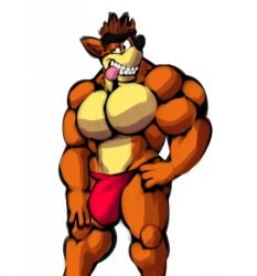 10s 1boy 2016 anthro bandicoot bobthetanuki bulge clenched_teeth crash_(series) crash_bandicoot extrasizedbob male male_only marsupial muscular red_thong solo thong tongue_out video_games white_background