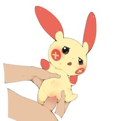 plusle from nintendo by youjomodoki