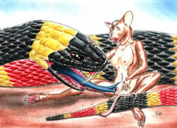 2003 anthro anthro_on_feral anthro_penetrated areola blue_tongue breasts brown_eyes closed_eyes coral_snake cunnilingus darkwolfie elapid_(snake) fangs female feral feral_penetrating feral_penetrating_anthro forked_tongue fur hand_on_head head_tuft interspecies looking_pleasured mammal mouse murid murine navel open_mouth oral outside penetration pink_areola pussy reptile rodent scalie sex signature simple_background sitting size_difference small_breasts smaller_female snake tongue traditional_media_(artwork) vaginal_penetration what white_fur zoophilia