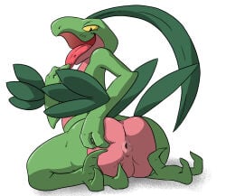 anthro anus barnim_the_grovyle big_butt butt butt_focus digital_media_(artwork) generation_3_pokemon green_body grovyle hi_res huge_butt leaf leaf_hair leaf_tail macro710 male multicolored_body nintendo open_mouth plant plant_hair pokemon pokemon_(species) presenting presenting_hindquarters pseudo_hair rear_view red_body simple_background smile solo tail thatweirdguy tongue tongue_out two_tone_body white_background yellow_sclera
