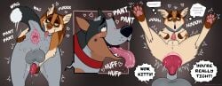 anal anal_stretching anal_tugging anatomically_correct anatomically_correct_anus animal_genitalia animal_penis anus australian_cattle_dog badfurgood balls big_balls blush blush_lines bodily_fluids breath canid canine canine_genitalia canine_penis canis cattledog cody_(badfurgood) collar domestic_cat domestic_dog duo felid feline feline_genitalia feline_penis felis feral genitals heart_symbol herding_dog hi_res huge_penetration knot knot_root looking_pleasured male male/male mammal motion_lines oral panting pastoral_dog pawpads paws penetration penile_spines penis penis_tip red_(badfurgood) rimming rubbing_penis saliva saliva_string scar sex sheath size_difference small_balls small_penis tail tail_motion tailwag tongue tongue_out torn_ear