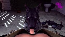 1animal 3d_animation animated bj_blazkowicz canine dog domestic_dog duo erection fellatio fellatio_from_feral feral first_person_view gay geetee human human_on_feral human_penetrating human_penetrating_feral interspecies licking male/male male_on_feral no_sound oral oral_sex penetration penis sex source_filmmaker tongue video video_games wolfenstein zoophilia