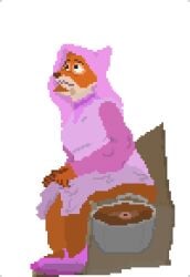 animated anthro anus canid canine clothing digital_media_(artwork) disney dress feces feces_pile female fox fur maid_marian mammal orange_body orange_fur pixel_(artwork) pooping pooping_in_toilet robin_hood_(disney) scat sitting sitting_in_toilet sitting_on_toilet solo thebootydeer toilet toilet_use true_fox