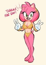 amy rose from sonic (series) by silver27