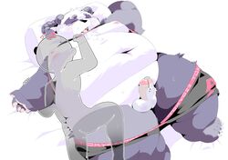 alp_(tokyo_afterschool_summoners) balls bed belly blush bodily_fluids briefs clothed clothing clothing_lift erection genital_fluids giant_panda hi_res male male/male mammal moobs nipples overweight penis precum shirt shirt_lift sleeping takotyutyu tokyo_afterschool_summoners topwear underwear underwear_down ursid video_games