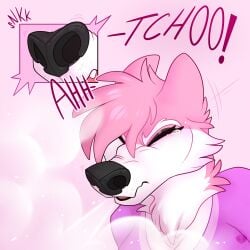 absurd_res anthro bella_(snugglefox22) big_nose female headshot_portrait hi_res portrait pupperstar sneeze sniffing solo tickling_nose