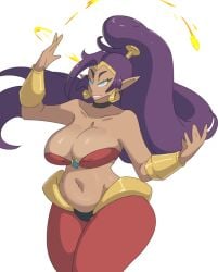 big_breasts brown_body cleavage dark-skinned_female dark_skin jewelry leedraw11 purple_skin shantae shantae_(character) smile voluptuous voluptuous_female wide_hips