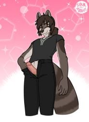 anthro anthro_only bittervow bottomwear bottomwear_down boxers_(clothing) boxers_down brown_body brown_eyes brown_fur brown_hair clothed clothing erection fur fyr_dunacht genitals hair male male_only mammal markings pants pants_down partially_clothed penis presenting procyonid raccoon shirt solo striped_body striped_fur striped_markings stripes topwear underwear vtuber