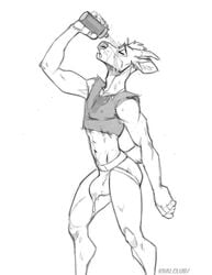 2019 anthro bulge clothed clothing crop_top dj_strap greyscale jockstrap kihu male male_only mammal midriff monochrome muntjac navel shirt simple_background skimpy solo tank_top topwear underwear water_bottle wet white_background