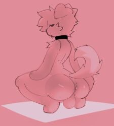 1boy 2025 anthro anus balls canine collar crouching dog_ears eyes_half_open femboy gay hand_on_thighs omni-man_pose on_heels sammy_toyy squatting squatting_position tail tongue_out