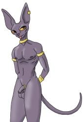 beerus from dragon ball by felix sky