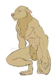 animal_genitalia anthro balls blue_eyes brown_body brown_fur canid canine canis claws digitigrade ears_back ears_down finger_claws fully_sheathed fur genitals hi_res katthekitkat male mammal muscular muscular_anthro muscular_male mythological_canine mythological_creature mythology nude_anthro nude_male paws pivoted_ears sheath simple_background solo toe_claws werecanid werecanine werecreature werewolf white_background wolf