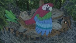 animated avian barnibu beak bird birdofgrain blue_body blue_feathers bodily_fluids brown_body brown_eyes brown_feathers cloaca_juice cloacal cloacal_kiss duo feathers female feral forest genital_fluids green_body green_feathers hi_res macaw male male/female neotropical_parrot nest orange_eyes owl parrot pink_body pink_feathers plant sex silvergriffin_(character) tree true_parrot